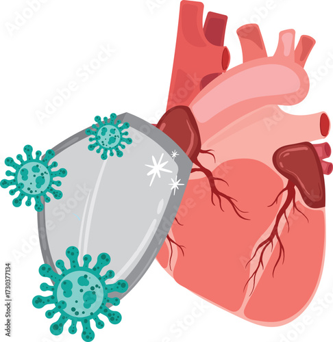 Protecting the Heart Shielding Against Viral Threats