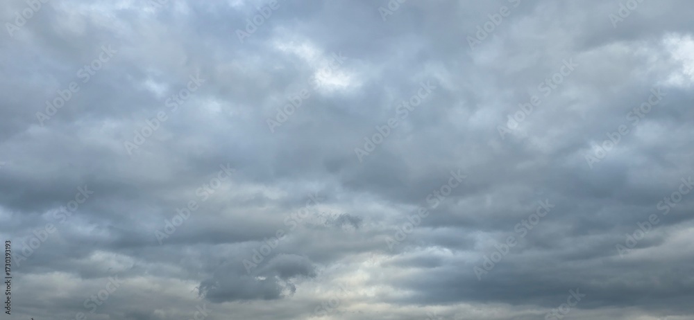 Fototapeta premium clouds in the sky