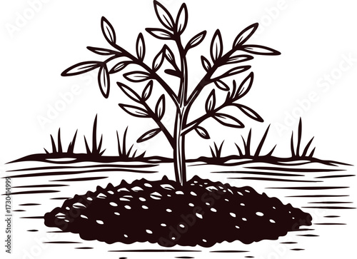 Hand drawn sprouting young tree with soil mound and grass in vintage engraved illustration