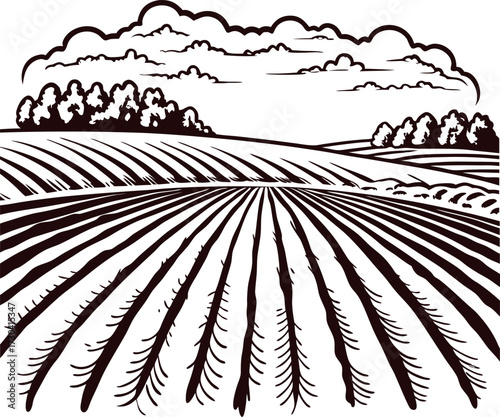 Hand drawn rural farm landscape with plowed fields, trees, and cloudy sky in vintage engraving