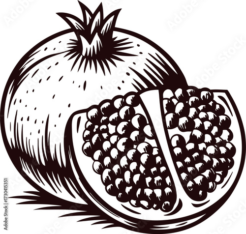 Hand drawn pomegranate and half fruit isolated on white background vintage engraved botanical sketch illustration