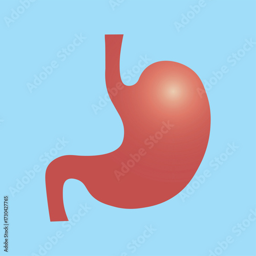 Human Stomach icon. Internal organ, human gastrointestinal tract. Stomach pain and heartburn symbol. Digestive disease. Gastritis and acid reflux concept. Color Vector illustration isolated on blue.