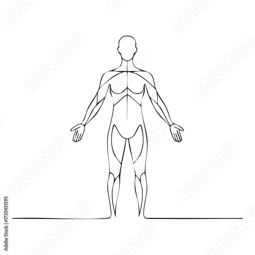 Abstract human body silhouette created with a single continuous line drawing