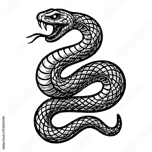 A black snake with a long body and a black head. The snake is curled up and has its mouth open. Vector. Silhouette illustration.