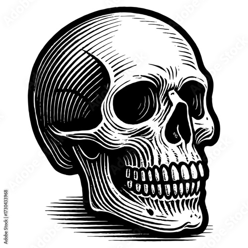 A skull with a smile on its face. The skull is black and white and has a smile on its face. Vector. Silhouette illustration.