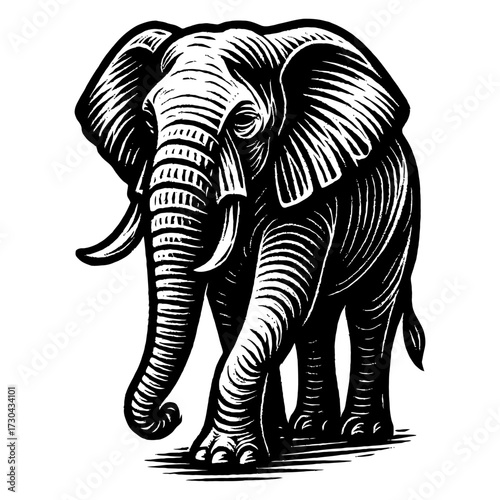 A black and white drawing of an elephant. The elephant is walking across a white background. The drawing has a moody. Vector. Silhouette illustration.
