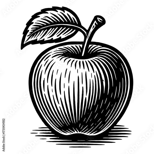 A black and white drawing of an apple with a leaf on top. The apple is the main focus of the image. Vector. Silhouette illustration.