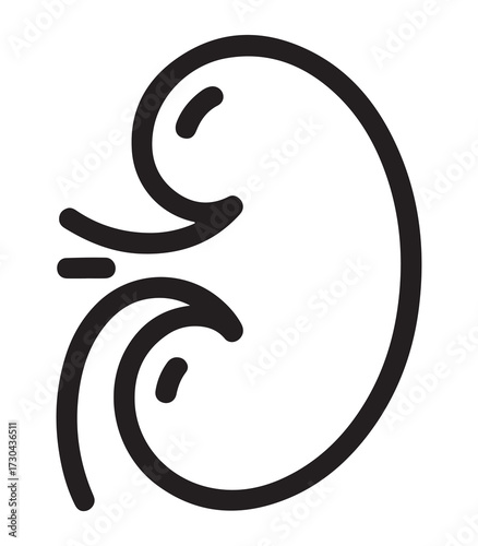 Kidney outline silhouette isolated on white background with red and blue accents