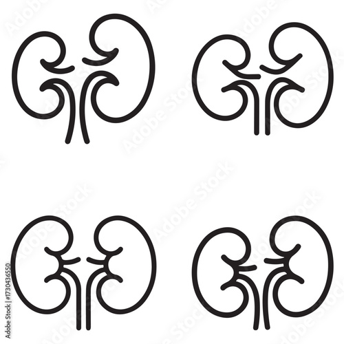 Set of kidney outline silhouettes for medical and health graphics isolated on white background