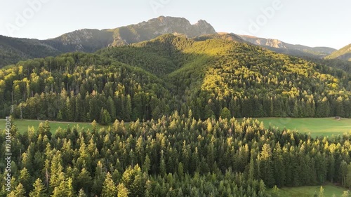 An aerial drone view of the Tatra Mountains, densely covered with green trees on a clear early summer morning.