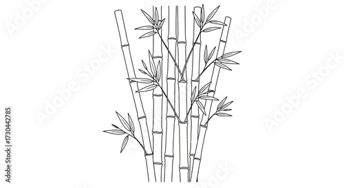 Detailed line drawing of bamboo stalks and leaves on a white background.
