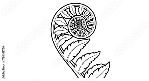 Black and white illustration of a fern frond unfurling in a spiral shape.