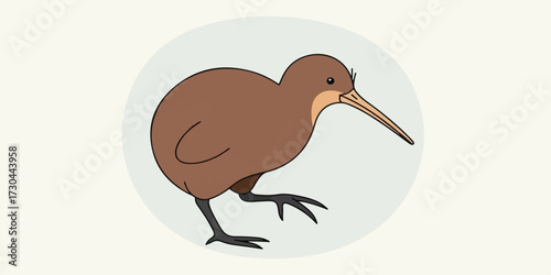 Kiwi bird illustration with natural solid colors