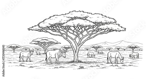 Savanna landscape with acacia trees and grazing animals, black and white drawing.