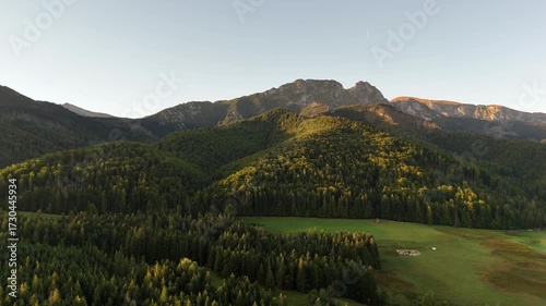 An aerial drone view of the Tatra Mountains, densely covered with green trees on a clear early summer morning.