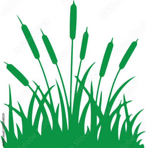 Wild grass on the river bank silhouette; Prairie green grass silhouette grass copy