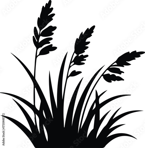 Wild grass on the river bank.Green grass silhouette;Prairie grass silhouette