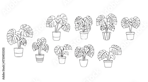 Collection of potted houseplants delicate line art sketches for botanical decor design vector