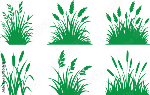 Wild grass on the river bank.Green grass silhouette;Prairie grass silhouette