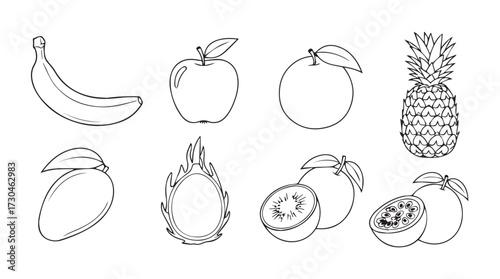 Hand drawn tropical fruits assortment sketch line art banana apple orange pineapple mango vector