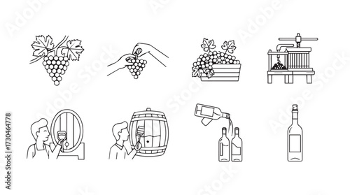 Hand drawn icons representing wine making harvest and production on vector