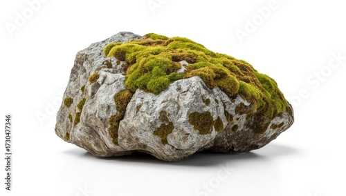 Grey rock formation displays varying textures and colors, with vibrant green moss and patches of darker hues covering its surface.