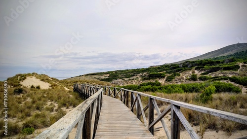 Wallpaper Mural Scenic wooden pathway crossing sand dunes with green vegetation under a cloudy sky. Natural coastal landscape with wooden boardwalk leading to the sea, perfect for travel, summer and nature concepts Torontodigital.ca