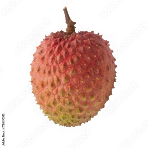Close up of a single lychee fruit with a textured skin on a black background
