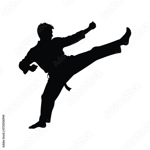Silhouette of a Karate Practitioner Executing a High Kick with Precision and Power, martial artist performing jump kick silhouette vector illustration