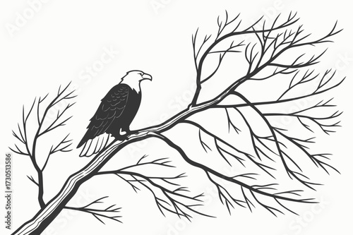 Bald Eagle Perched on Bare Tree Branch Vector Illustration - Monochrome Wildlife Graphic