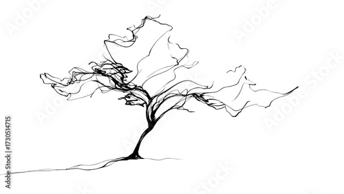 A casual linear drawing of a tree with flowing branches on a transparent background  