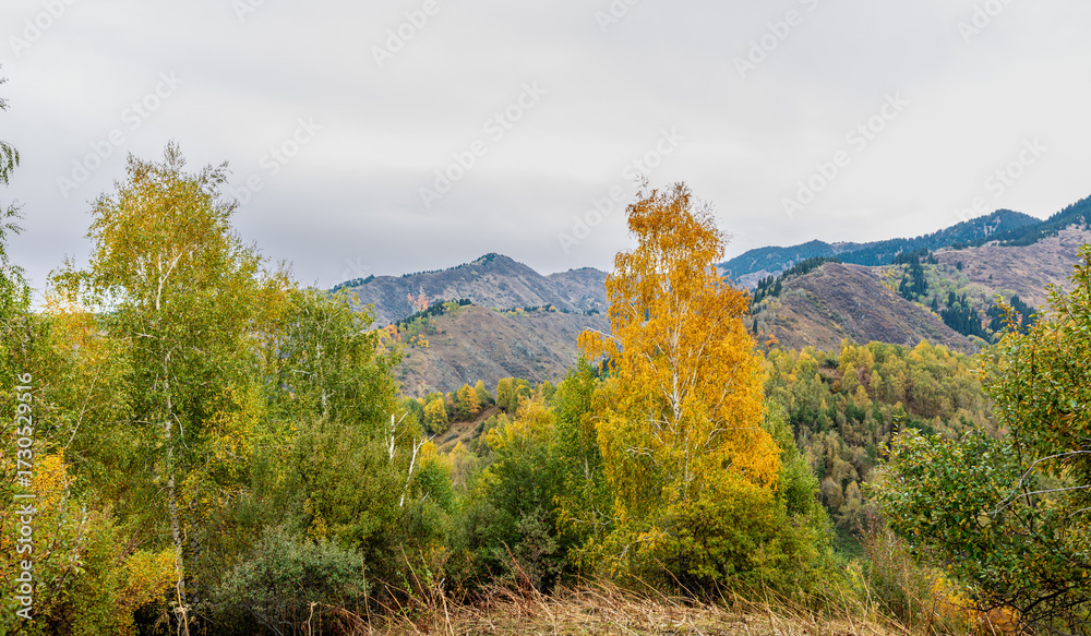 Obraz premium autumn landscape with mountains