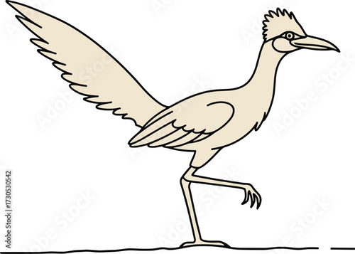 Cartoon roadrunner bird with a long tail illustration, roadrunner, bird, cartoon, illustration, drawing, animal, wildlife, desert, nature, beak, long tail, feathers, wings, legs, walking, standing, pr