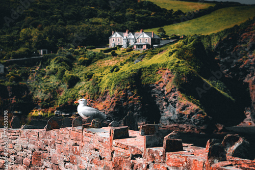 A lovely day in Cornwall, England
