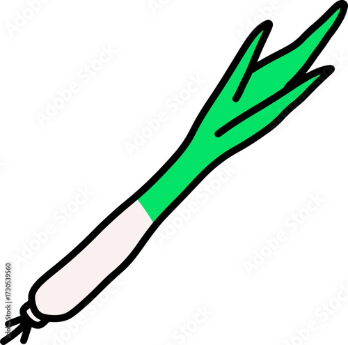 Scallion
