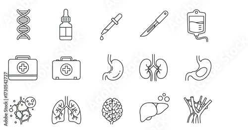 Line icons depicting various human body parts and medical symbols on a white background in a flat lay composition.