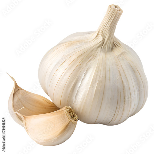 garlic bulb isolated on transparent background