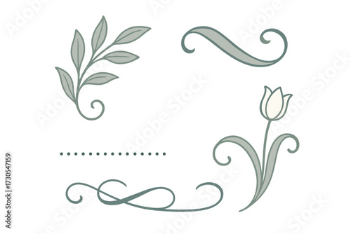 Elegant floral decorative elements with leaves, tulip, and ornamental swirls for design accents and page dividers