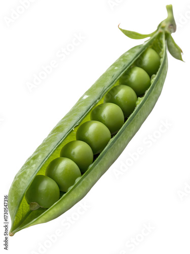 fresh green bean pod open isolated on transparent background