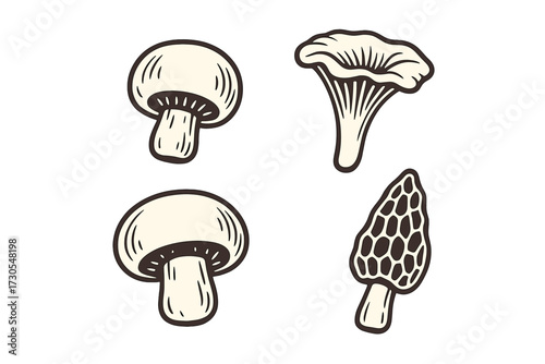 Collection of diverse edible and wild mushrooms featuring common button, distinctive chanterelle, and unique morel fungi varieties