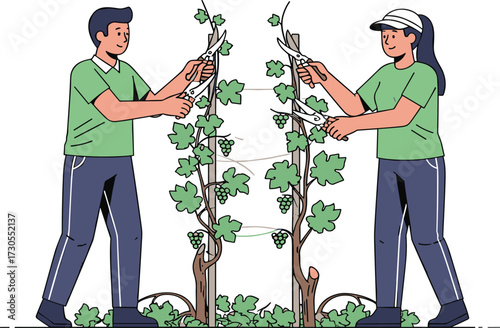 Farmers pruning grapevines, vineyard workers trimming plants, agriculture farming, grape cultivation, countryside vineyard, organic gardening, fruit plants care, rural lifestyle