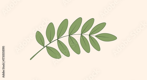 A simple branch with oval shaped leaves on a light background.