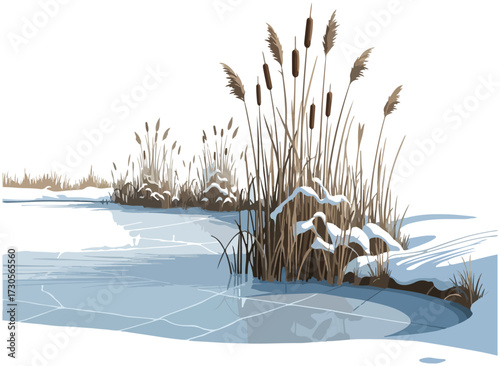A winter landscape featuring a frozen lake with cattails and snow-covered plants on the shore.