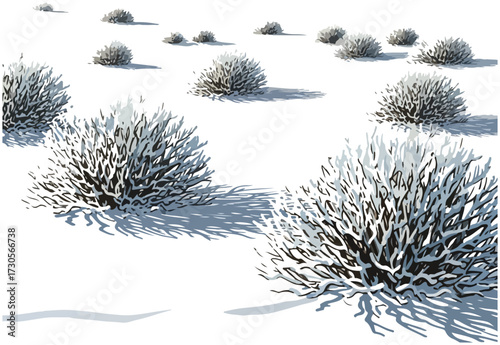Snow-covered desert shrubs casting long shadows on a bright winter day.