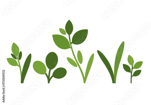 Green plants of various types are displayed against a white background in a simple vector graphic illustration