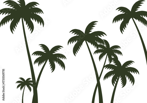 Palm tree silhouettes stand tall against a bright white backdrop evoking a tropical scene