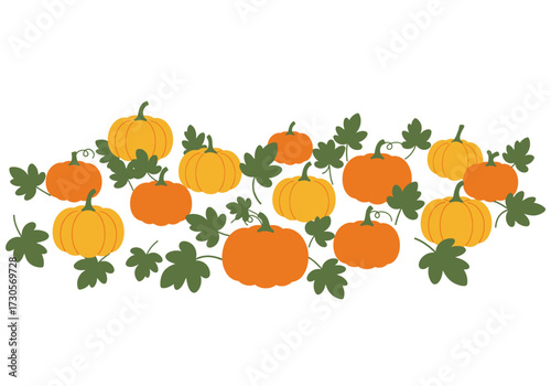Orange and yellow pumpkins interspersed with green leaves isolated on a white backdrop