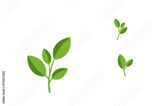 Three stylized green sprigs of leaves isolated against a white background