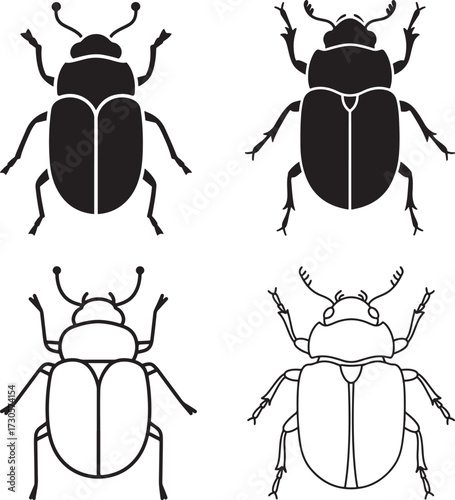 Four beetle illustrations in silhouette and outline style