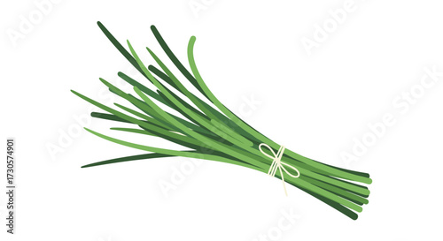 A bunch of fresh green chives tied with a string, presented as a detailed SVG vector illustration, isolated on a transparent background for cooking.
